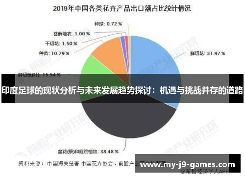 印度足球的现状分析与未来发展趋势探讨：机遇与挑战并存的道路