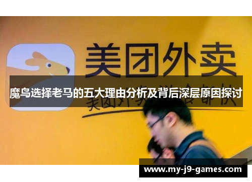 魔鸟选择老马的五大理由分析及背后深层原因探讨